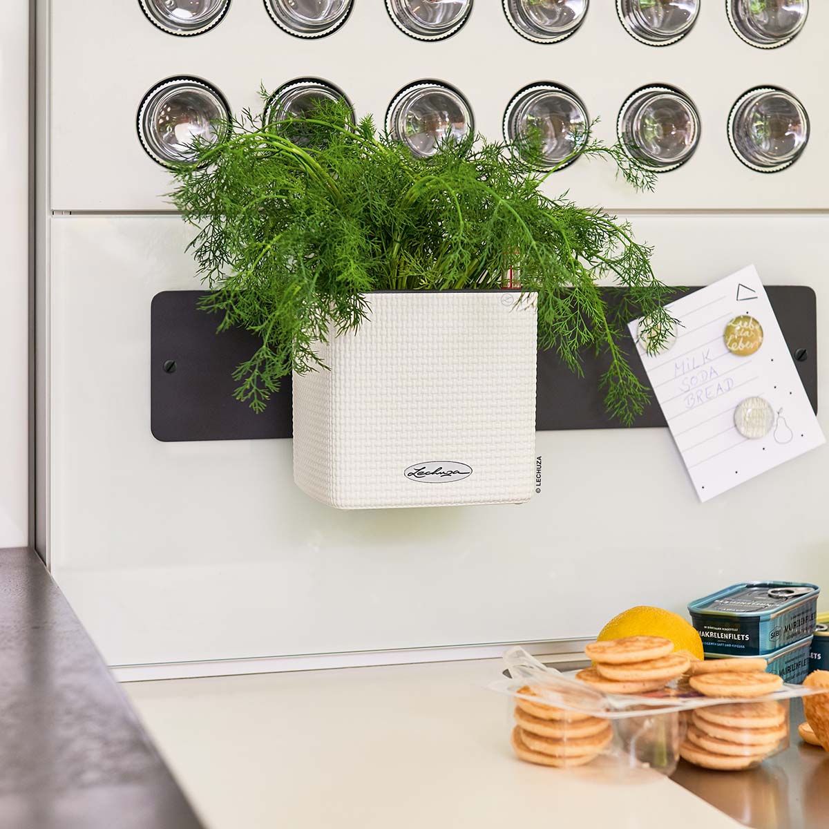 Supporto magnetico GREEN WALL (per Cube 14)