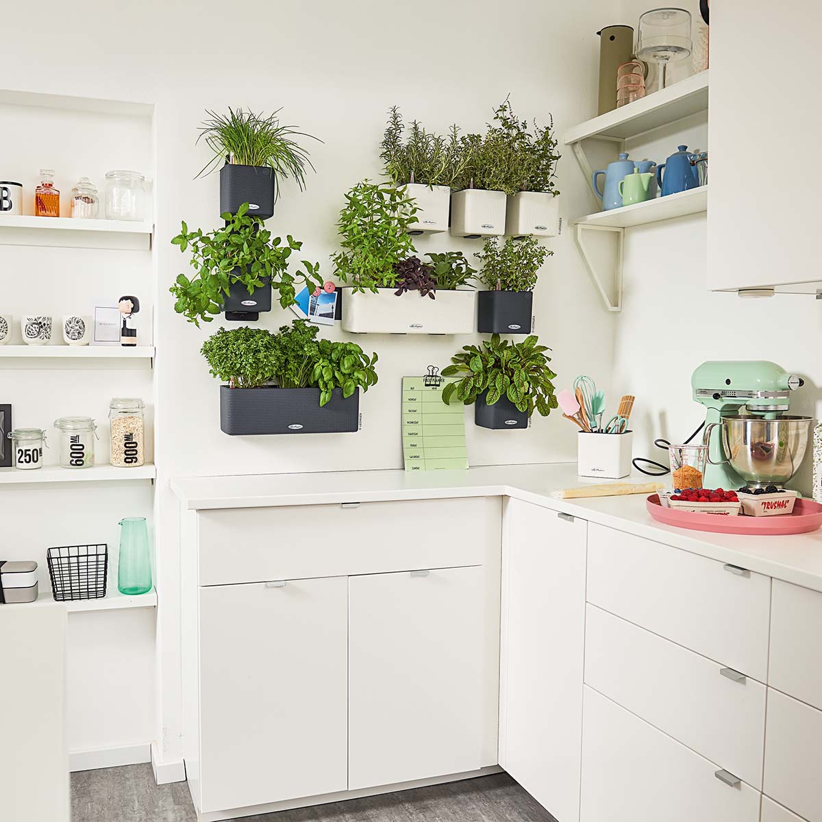 Supporto magnetico GREEN WALL (per Cube 14)