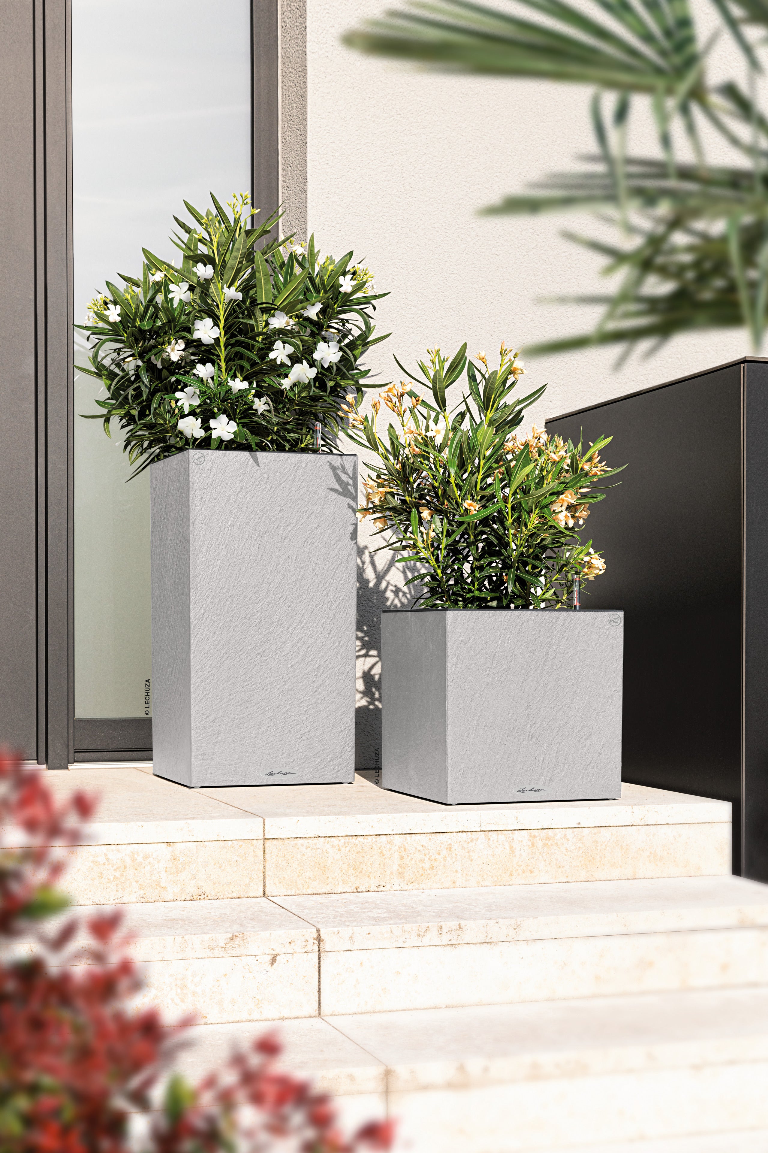 CANTO Slatestone Low