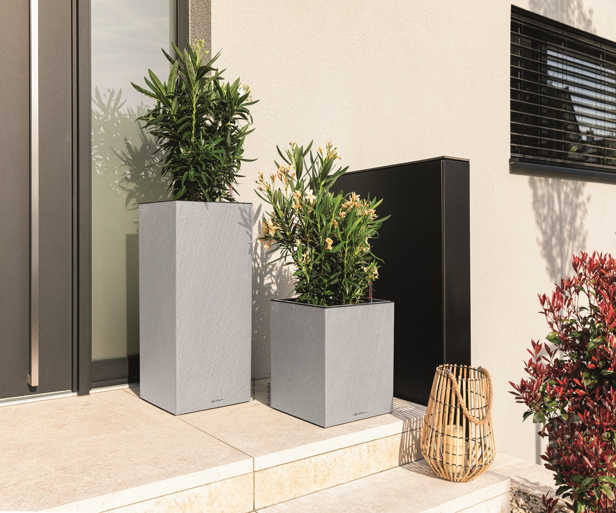 CANTO Slatestone high