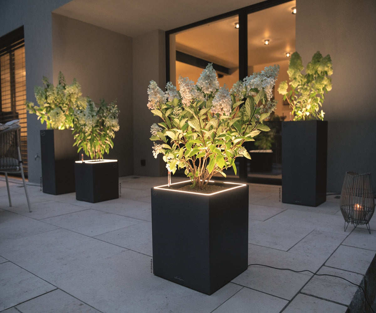 CANTO Slatestone Low