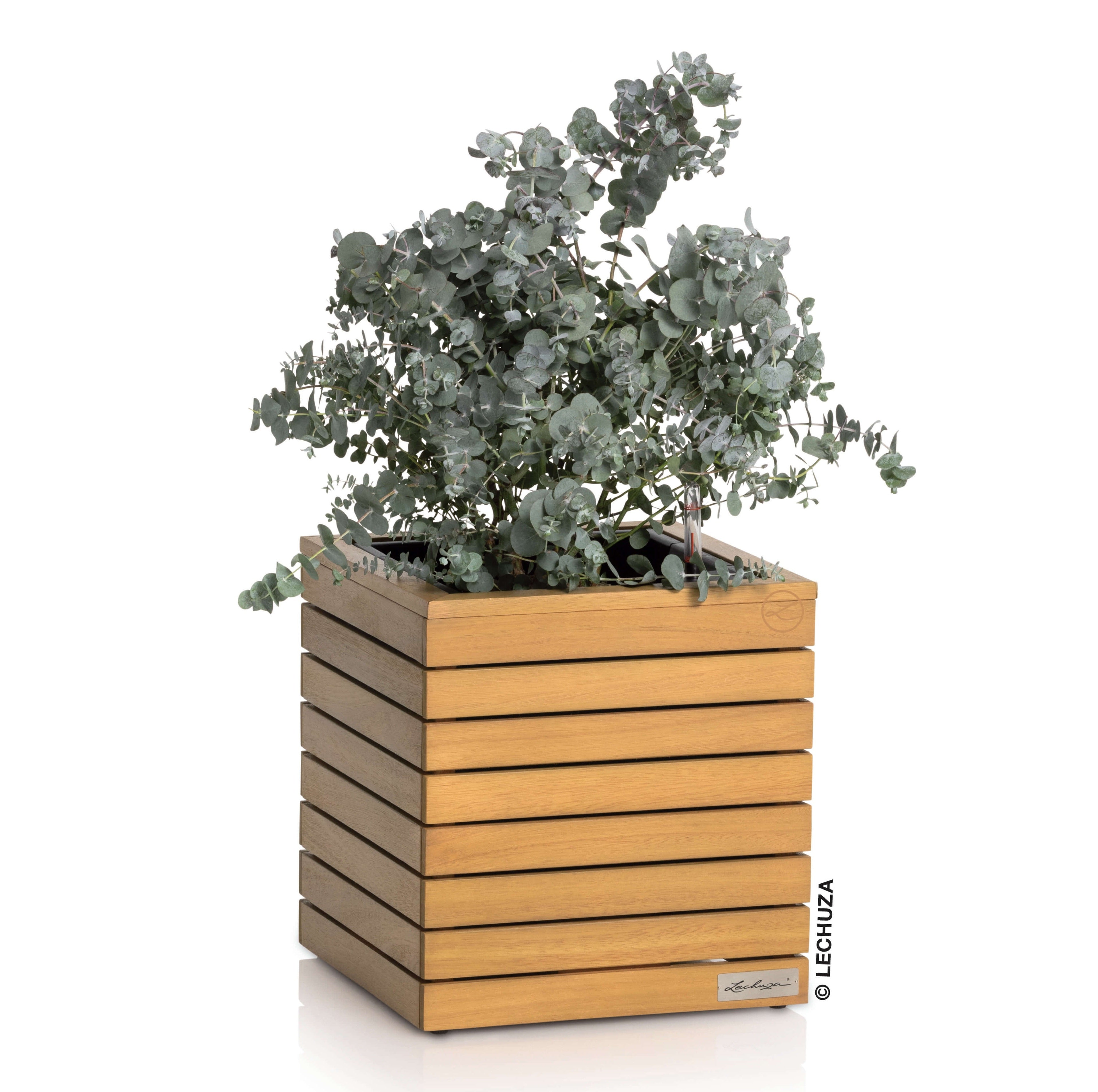 PALO Natural Wood low