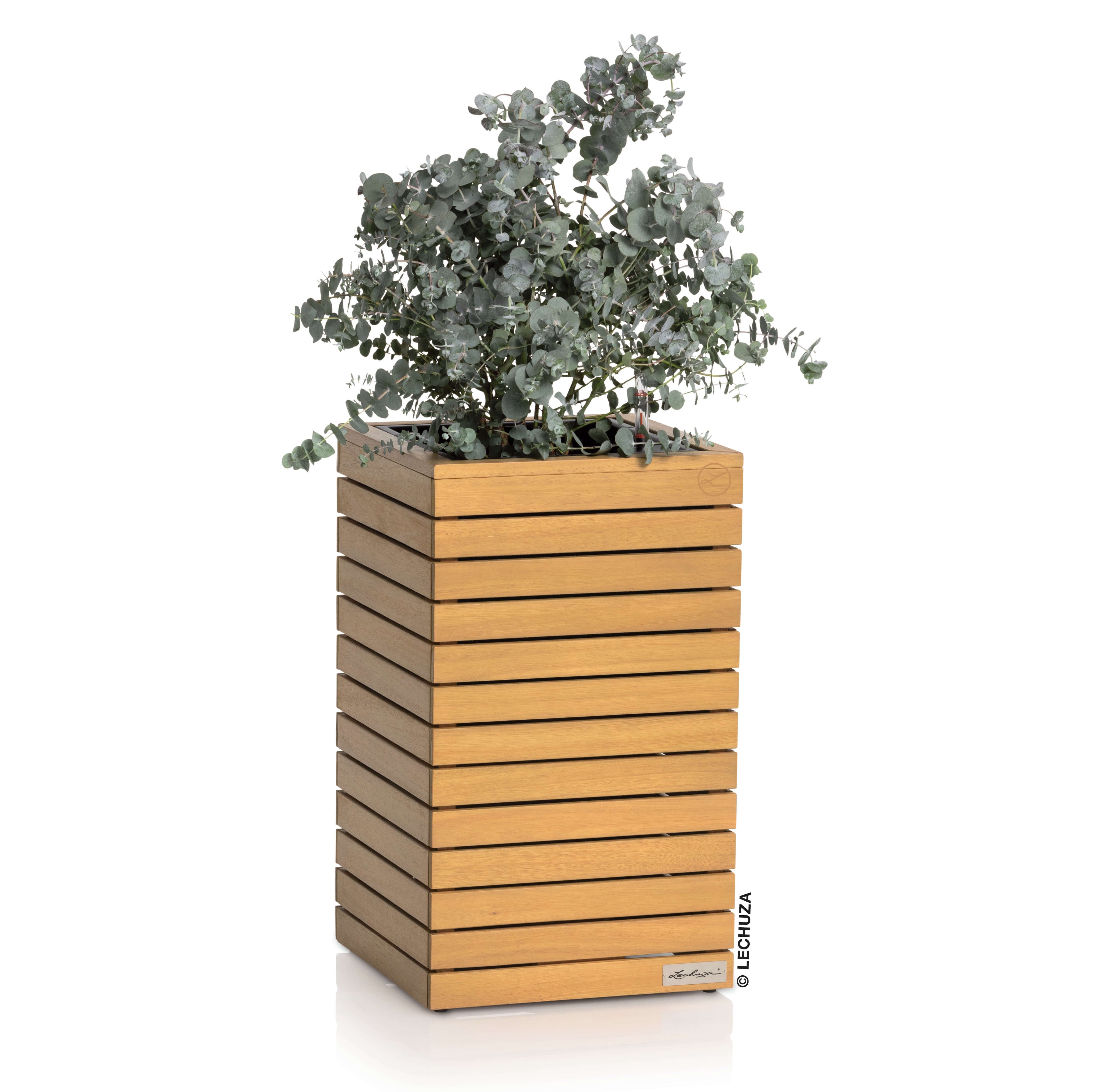 PALO High in legno di Eucalipto FSC®