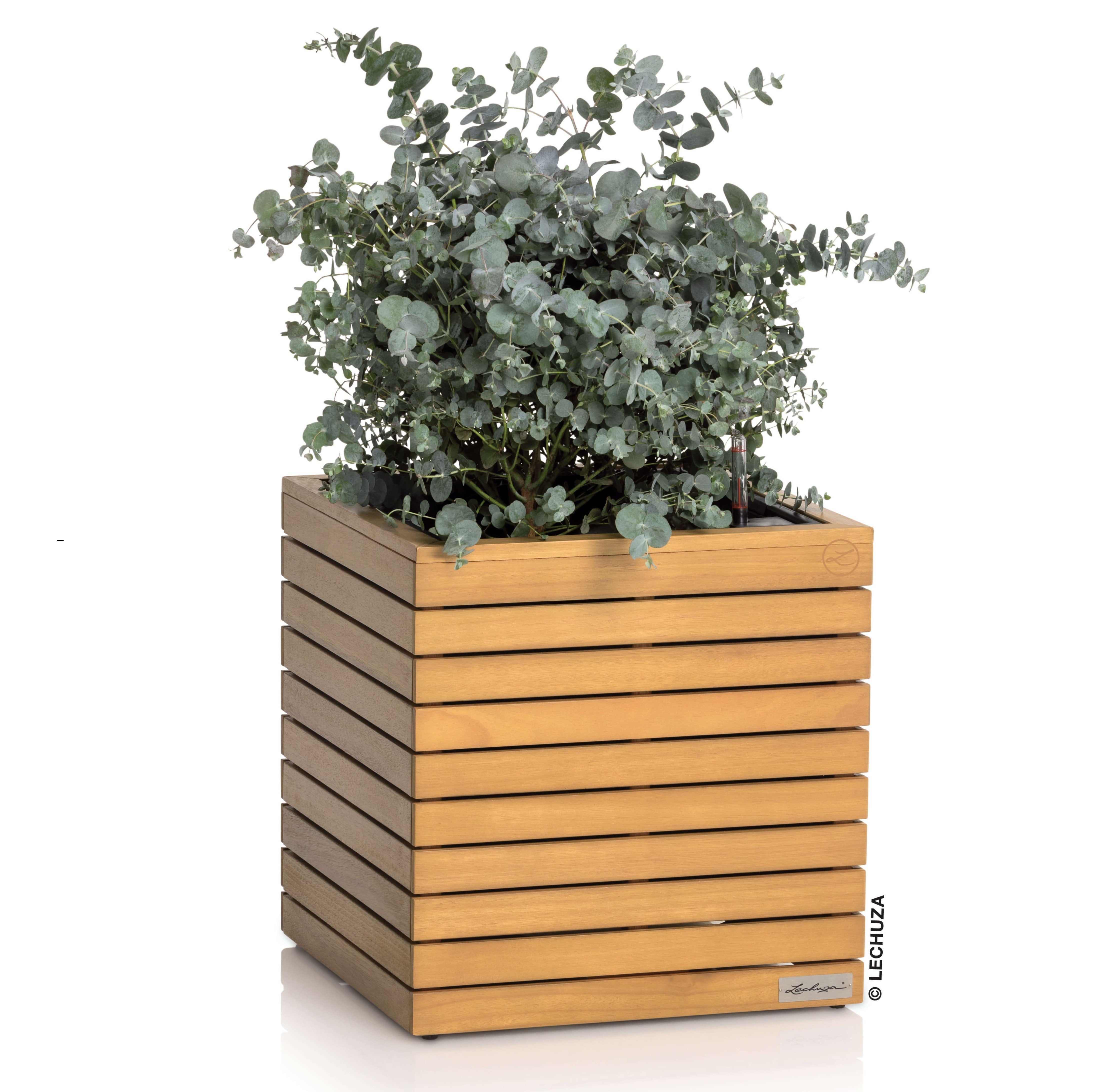 PALO Natural Wood low