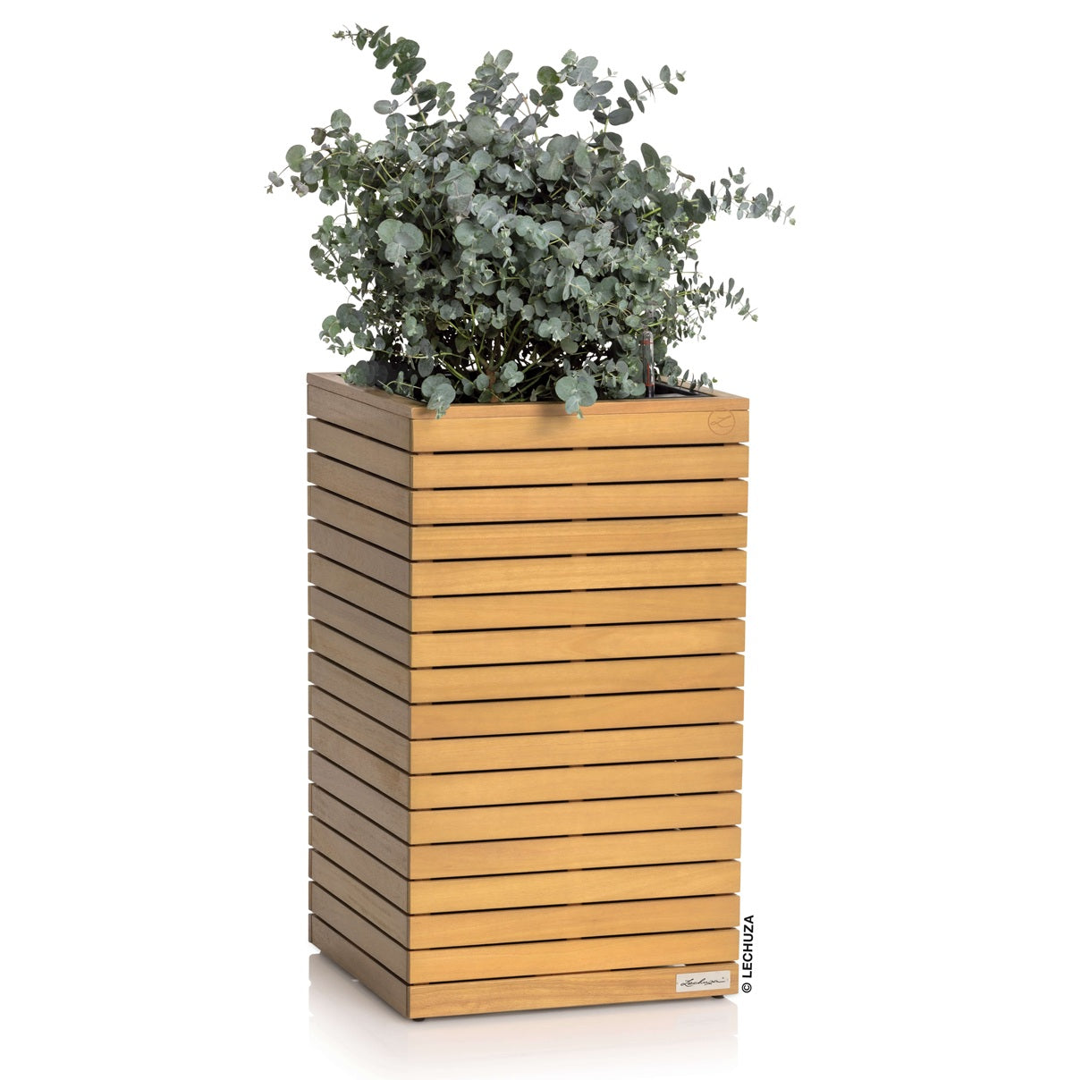 PALO High in legno di Eucalipto FSC®