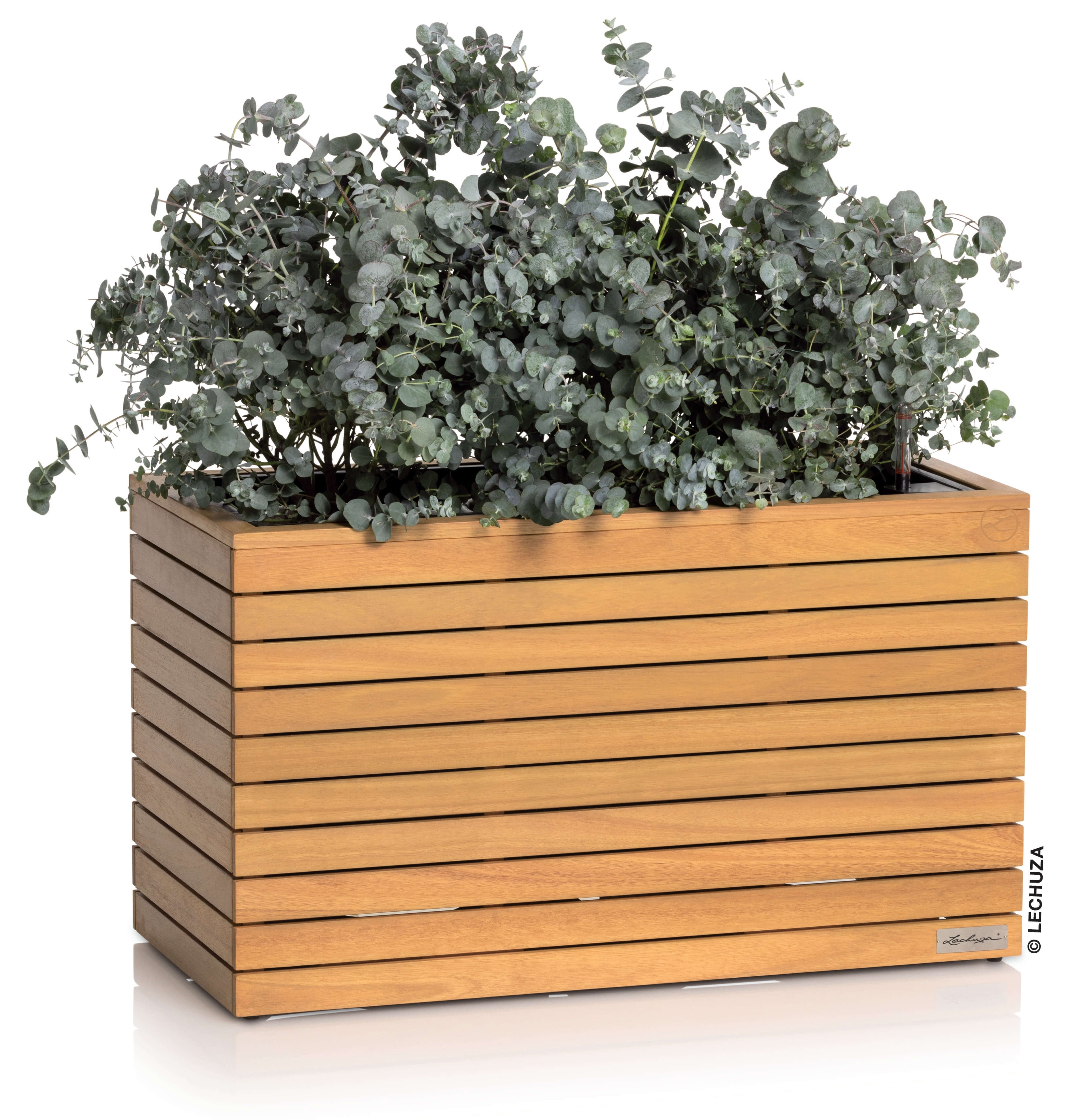 PALO Wide in legno di Eucalipto FSC®