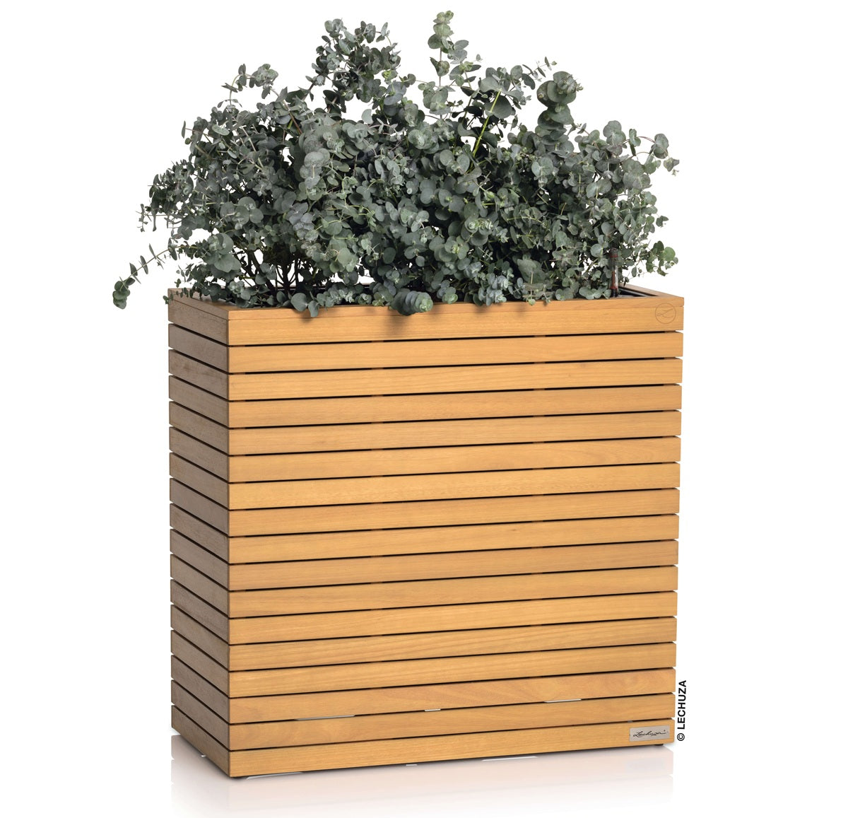 PALO Wide in legno di Eucalipto FSC®