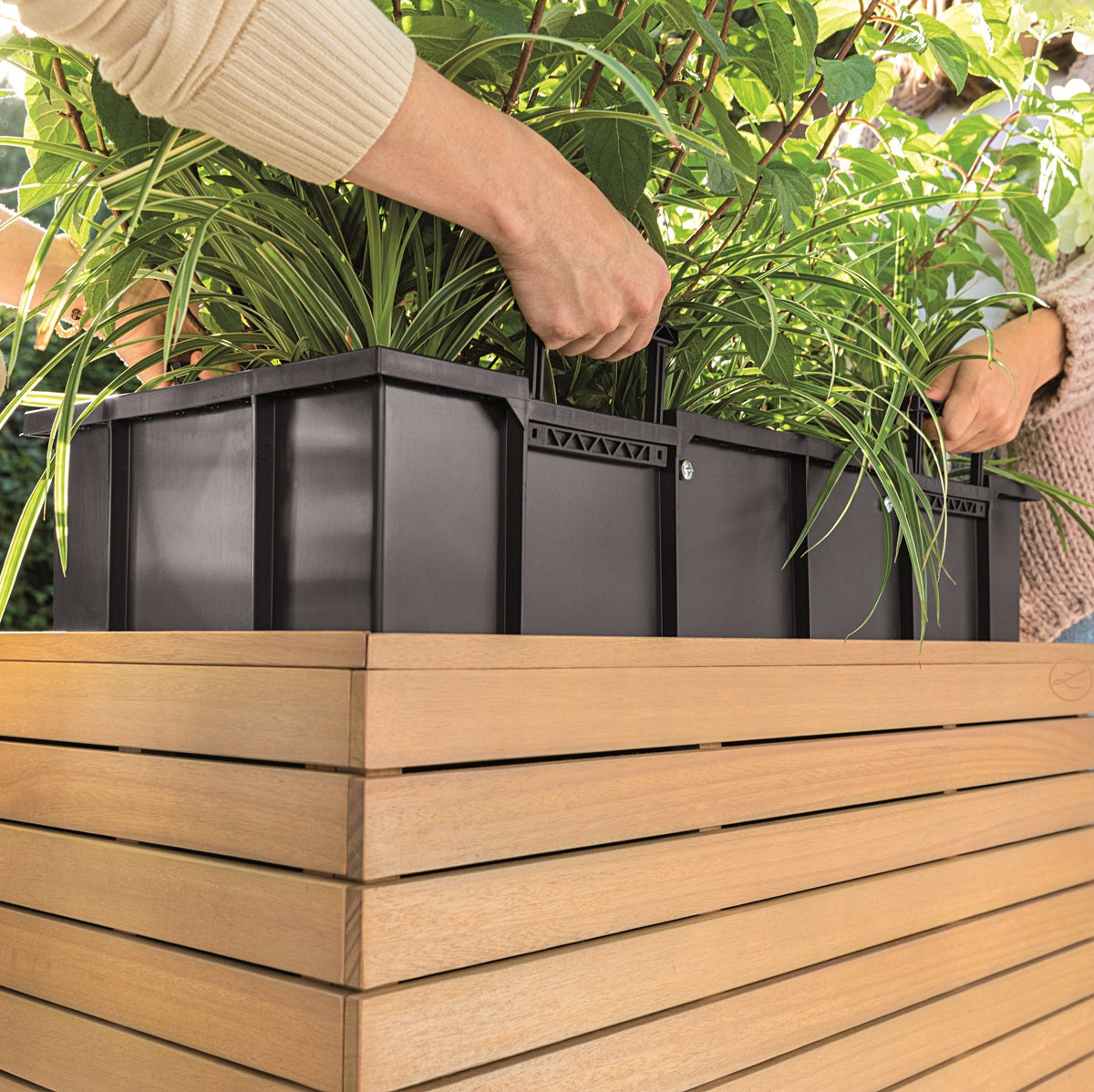 PALO Wide in legno di Eucalipto FSC®