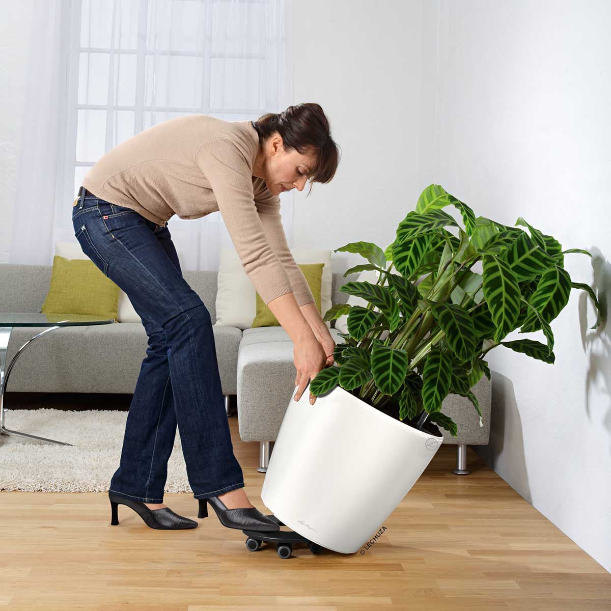 Rotelle vasi Lechuza