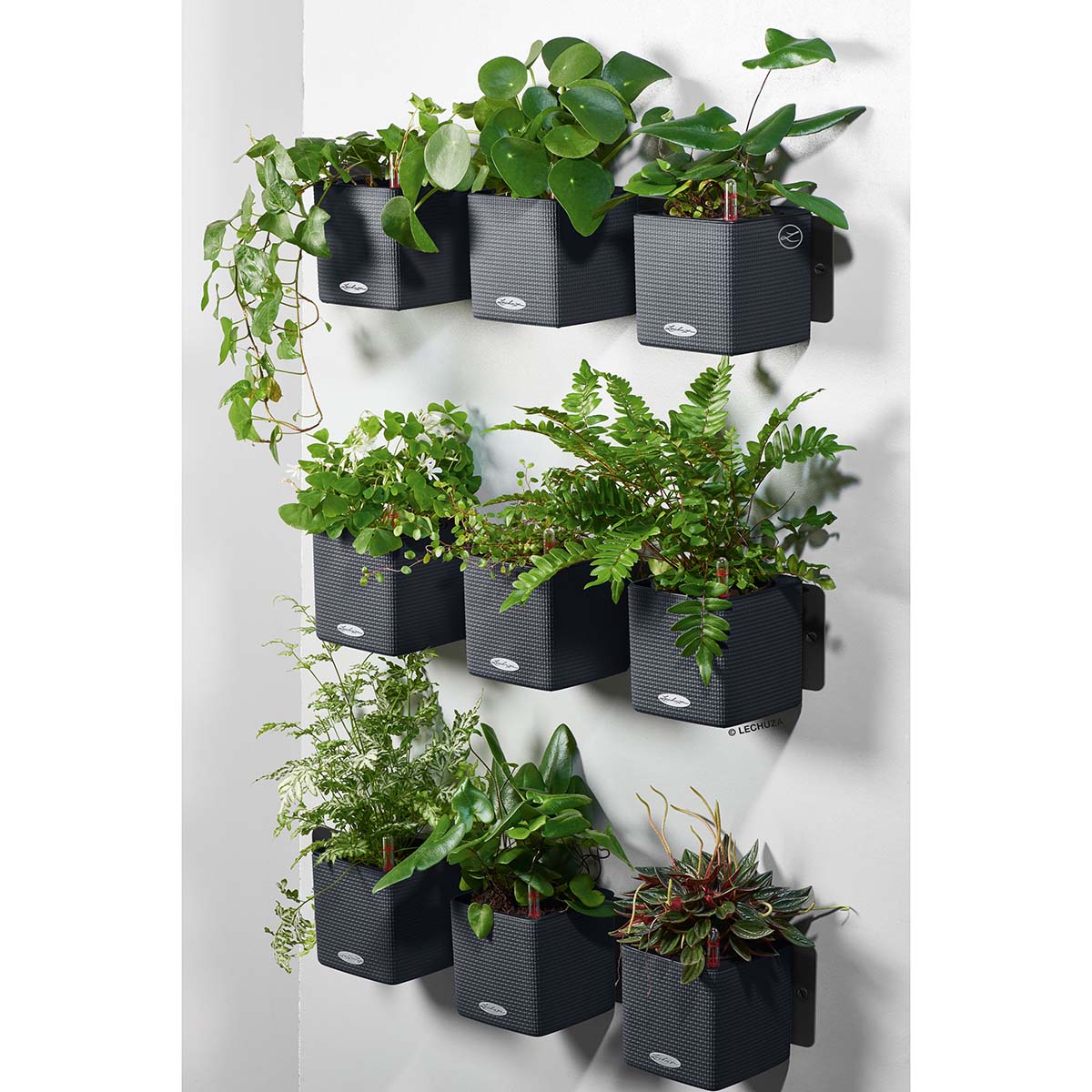Supporto magnetico GREEN WALL (per Cube 14)