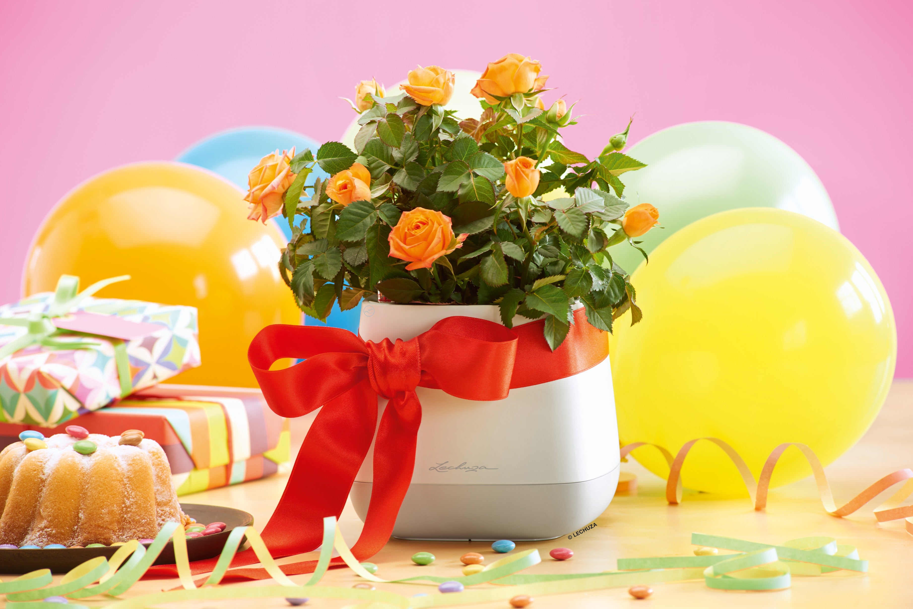 YULA - Vaso Bianco/Grigio