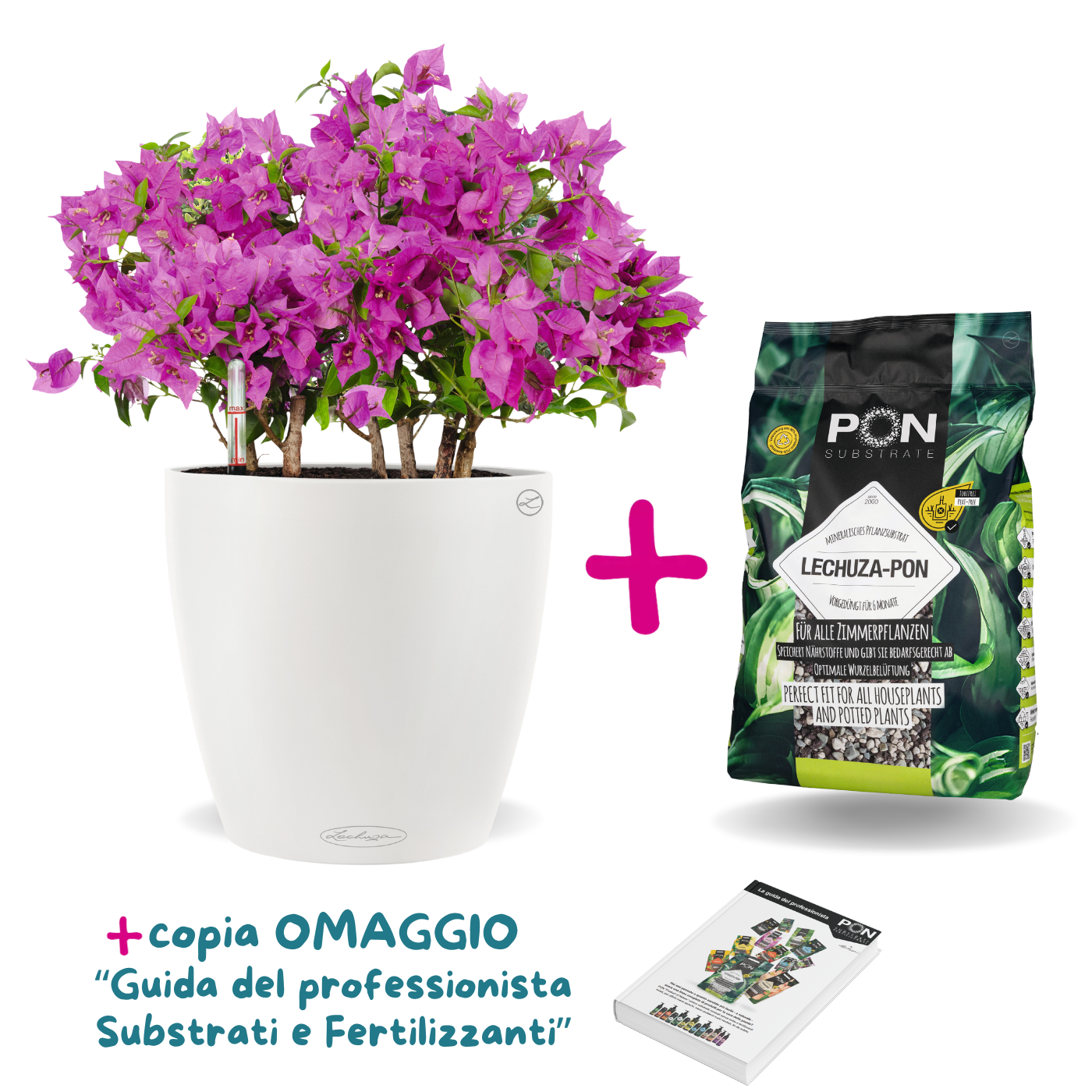 Offerta TUTTO INCLUSO -  CLASSICO Color + Lechuza PON in sconto!
