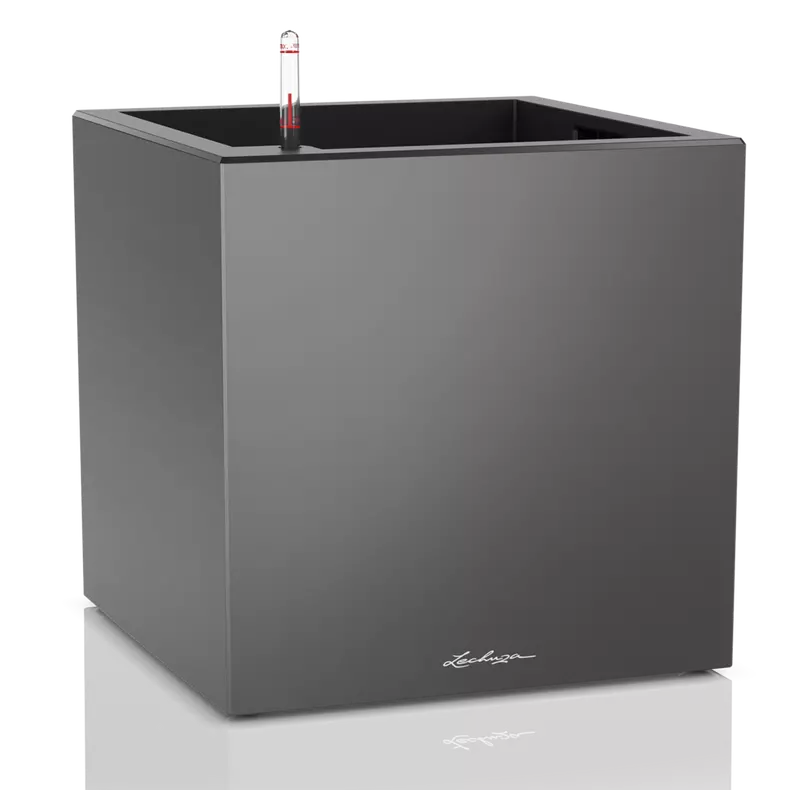 CANTO Premium Low