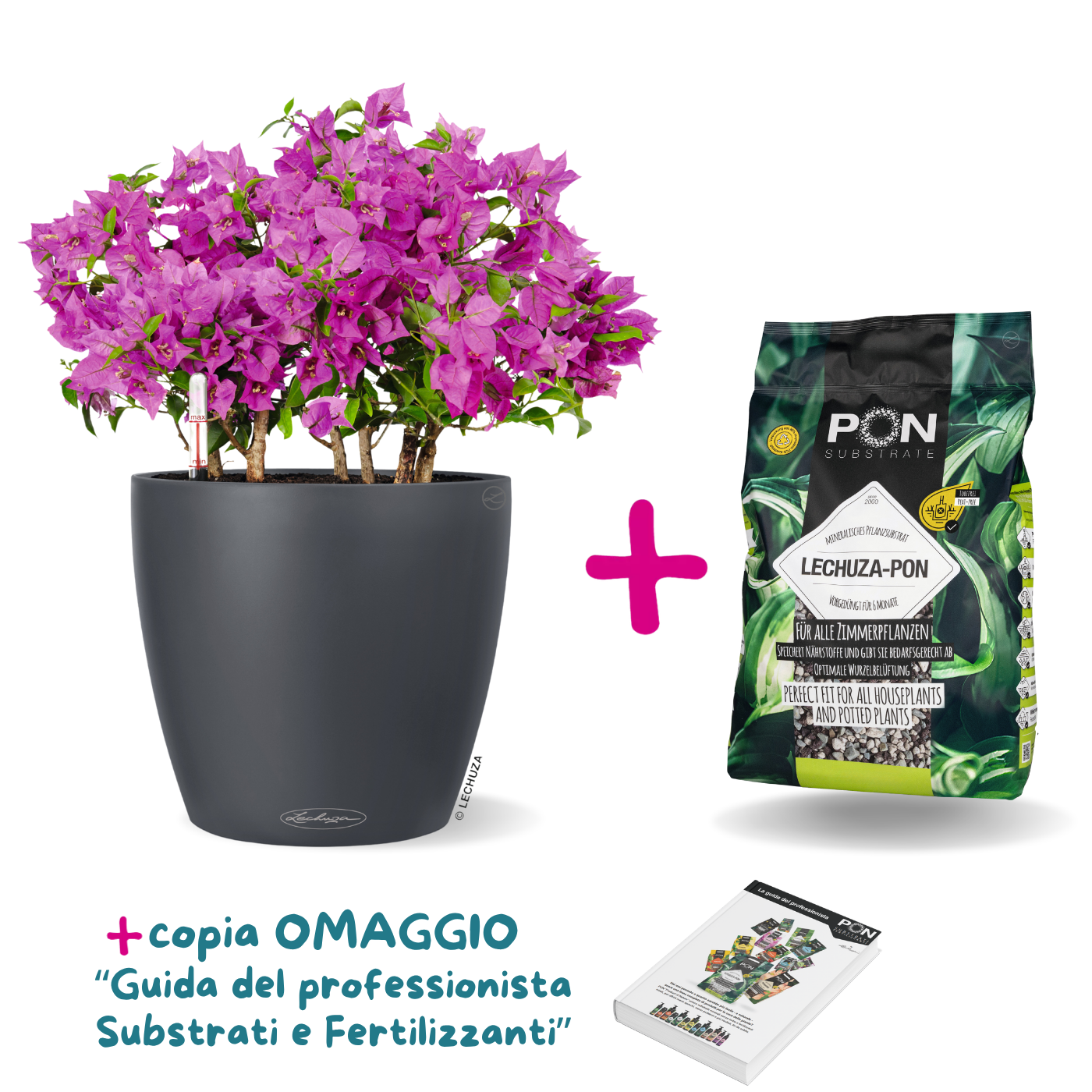 Offerta TUTTO INCLUSO -  CLASSICO Color + Lechuza PON in sconto!