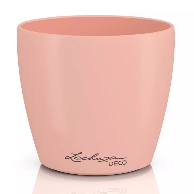 CLASSICO Color Deco