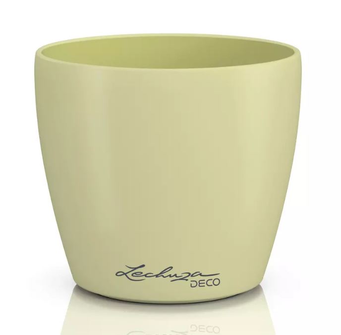 CLASSICO Color Deco