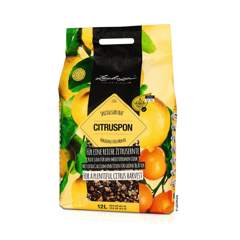 CITRUSPON Substrato