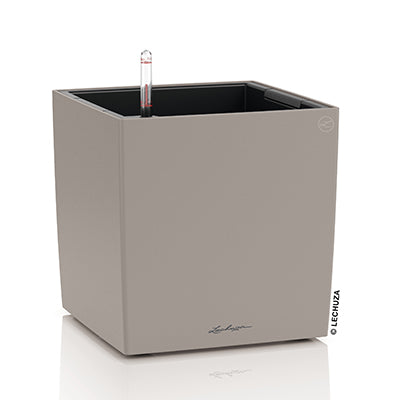 CUBE Color