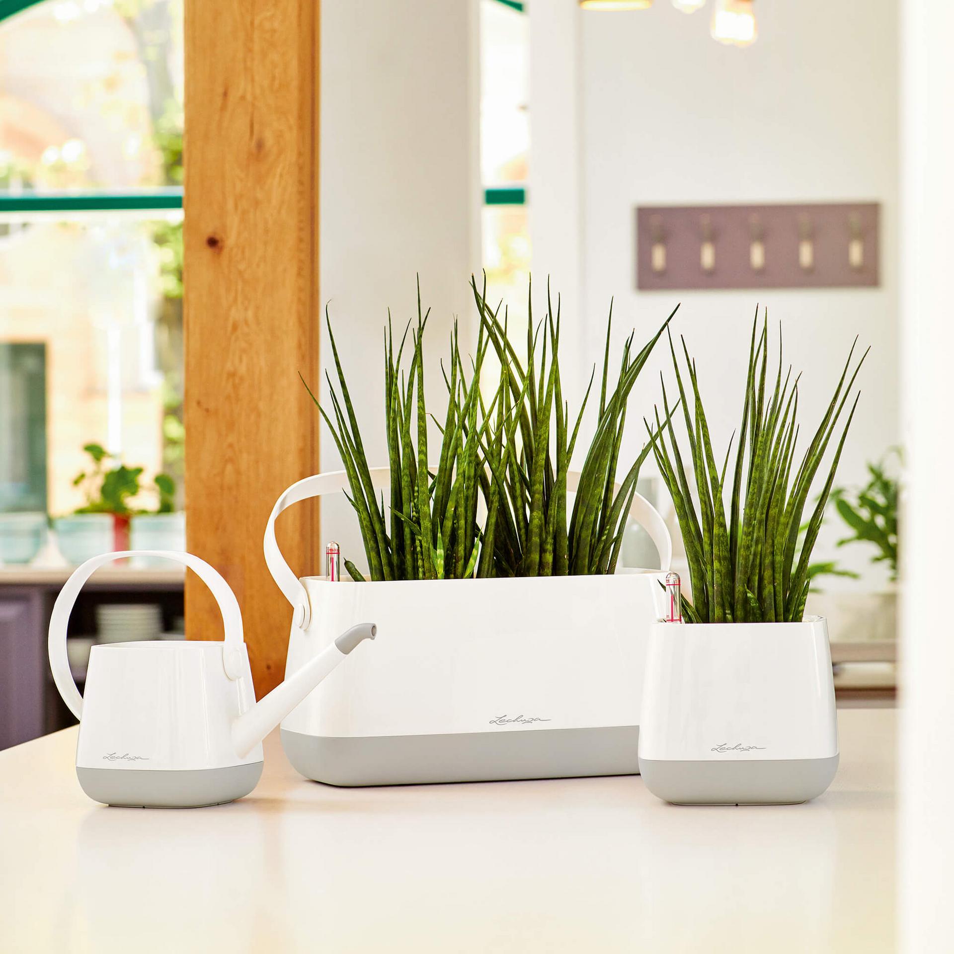 SET YULA - Innaffiatoio YULA + vaso Borsetta YULA + Vaso YULA Bianco/Grigio